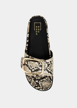 Delphine Snake Slide