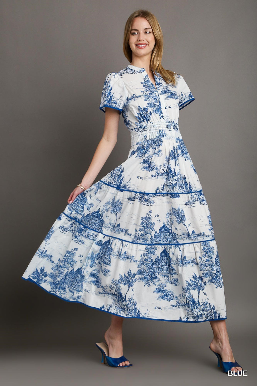 Blue Toile Maxi Dress