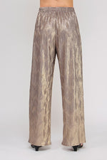 Shimmer Shell Pants