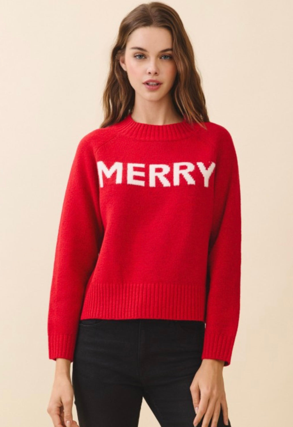 Merry Holiday Sweater