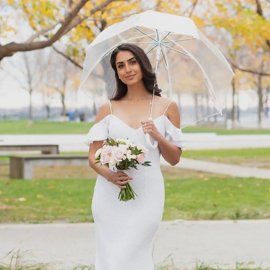 Clear Bubble Umbrella