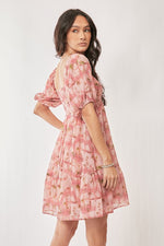 LIttle Sweetie Dress