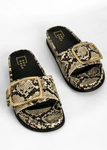 Delphine Snake Slide