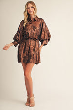 Metallic Shirt Dress