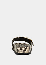 Delphine Snake Slide