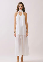 Chiffon Scarf Maxi Dress