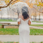 Clear Bubble Umbrella