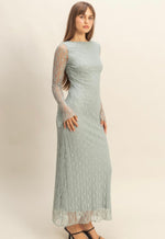 Lace Fitted Dress