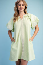 Extra Details Dress