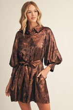 Metallic Shirt Dress