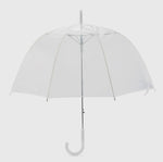 Clear Bubble Umbrella