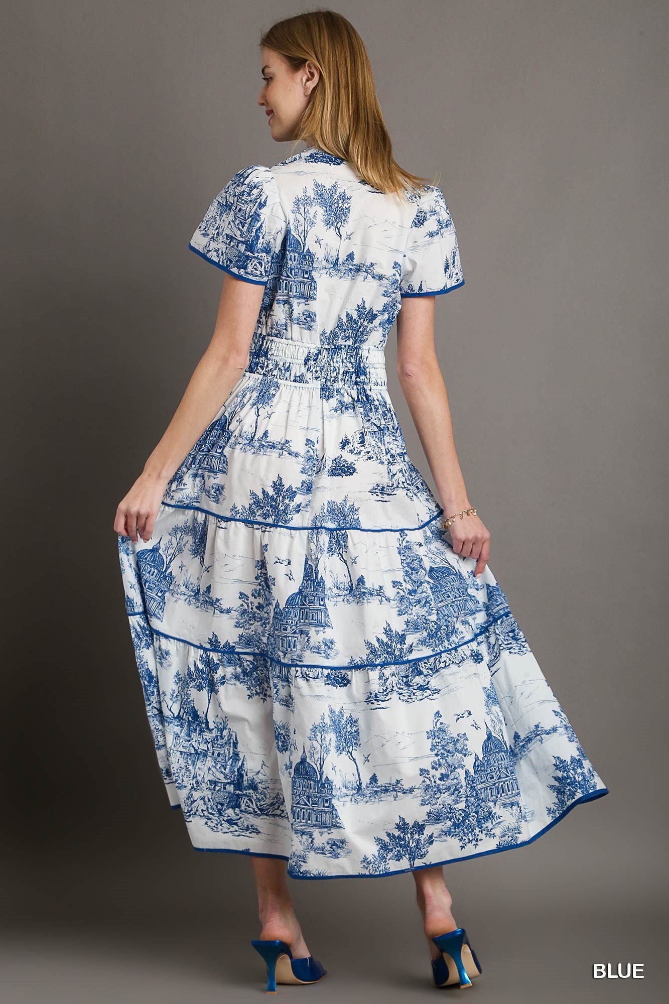 Blue Toile Maxi Dress