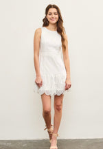Scallop Lace Dress